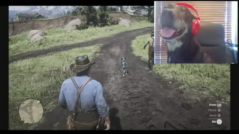 Cute Dog is Gaming and Reacts to Finding a Dog in the Game!