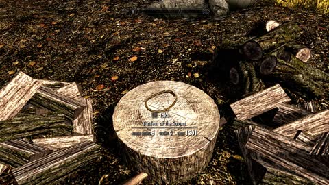 Skyrim - How to get the Diadem of Savant right out of Helgen