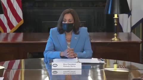 Kamala Harris Plays "Captain Obvious" Or has a "NO SHIT Sherlock!" moment!