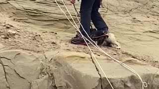 Rescuing a Dog from a Dangerous Cliffside