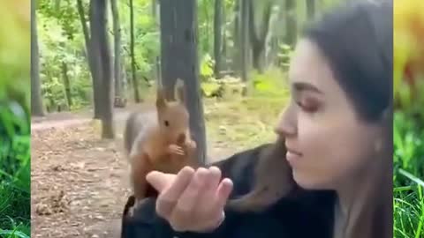 Cute Funny Friendly Squirrel 🦨