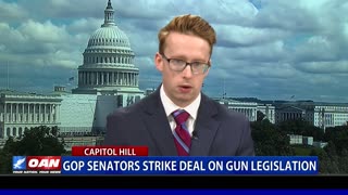 GOP senators strike deal on gun legislation