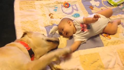 They're already best frens..🐕🐾👶😅