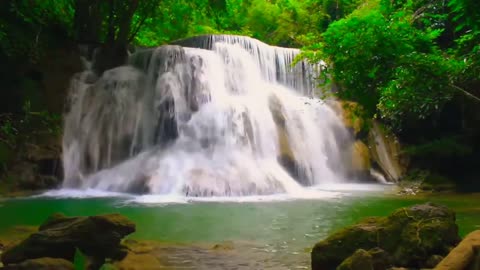 Relaxing Waterfalls and Birds Singing | Soothing and Stress Relief Nature Sounds | Beauty of Nature