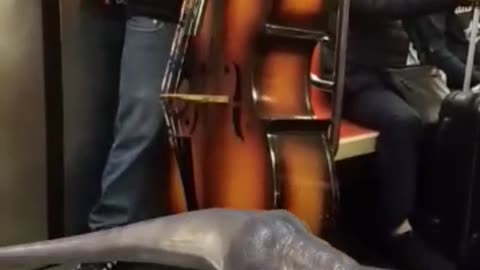 Guy playing cello giant violin subway trex snapchat filter