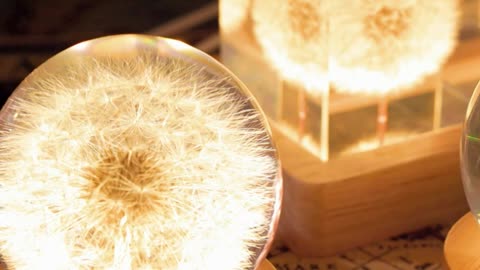 Crystal Cube Night Light with Preserved Flower Dandelion Decoration-Valentines day Unique Gift Idea