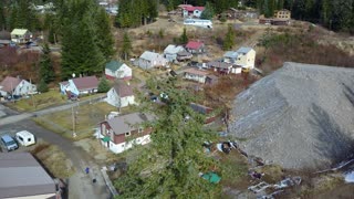 Bald Eagle hanging out over Hoonah Alaska 2018