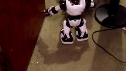 Mini Aussie puppy afraid of robot