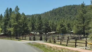 A drive through Greer Arizona