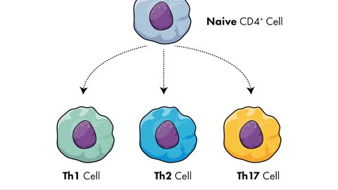 AstraZeneca to acquire TeneoTwo and its clinical-stage T-cell engager