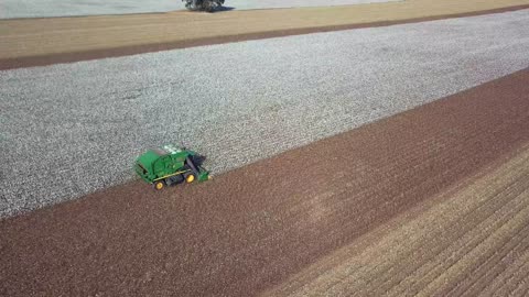 2019 Cotton Harvest - Decatur,Al.