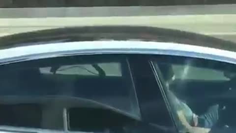 Tesla Driver Falls Asleep While On Highway