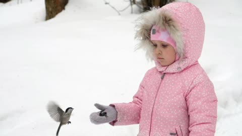Girl feeding birds in the snow -With beautiful music