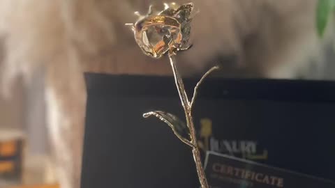 A unique gift for Valentine's Day: a real gold rose!