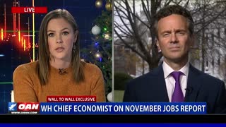 Wall to Wall: WH Economist on November Jobs Report