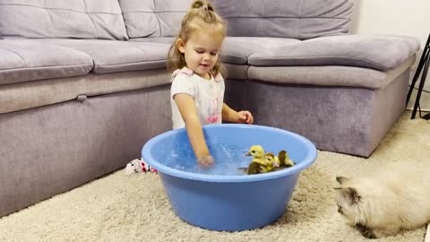 Funny_Baby_Reaction_to_Baby_Ducklings_in_the_Pool