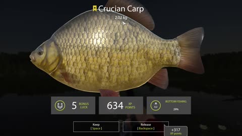 Russian Fishing 4 Mosquito Lake Crucian Carp spot