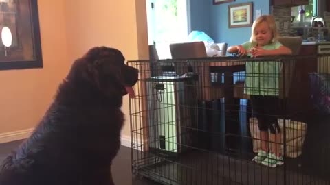 She Plays Pretend With Her Toys. But When The Dog Notices? CLASSIC!
