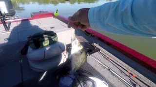 Lake Belton Fishing May 2021