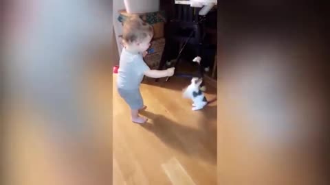 Funny Cat & Baby