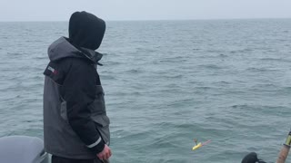 Saginaw bay walleye action