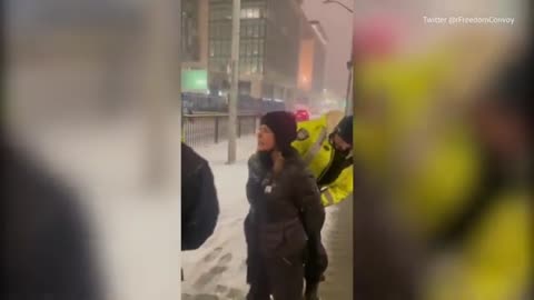 Freedom Convoy leader Tamara Lich gets arrested in Ottawa