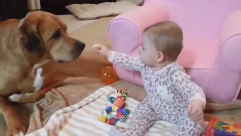 Cute babies and dogs always are besties.