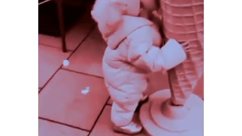 cute baby funny video / cute kids shorts video.😍🥰funny baby video #cutebaby #cutebabyshorts #shorts
