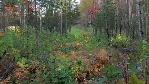 ATV Maine Fall Ride