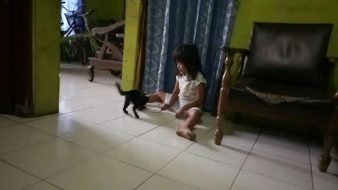 Kitten play with little girl - what happen next will shock you