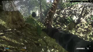 Knocked a tree down with a Flash Grenade - Call of Duty Ghosts - Xbox One - 2015