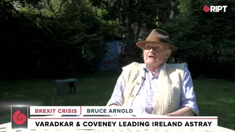 Bruce Arnold doesn't hold back in attacking Leo Varadkar and Simon Coveney
