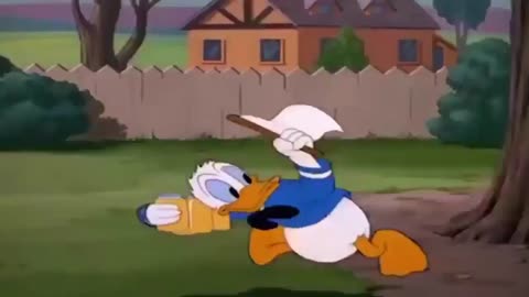 Donald duck cartoon