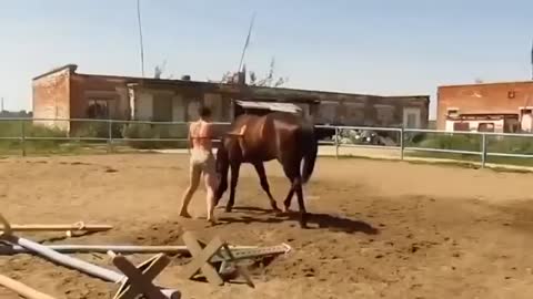 Even The Horse Showed It's Sympathy For The Girl...