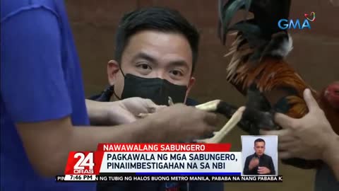 PANYONYOPE O PANDARAYA SA SABONG, TINITINGNANG UGAT SA PAGKAWALA NG 29 NA SABUNGERO | 24 ORAS |