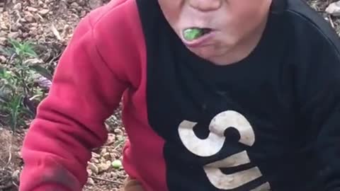 Funny video children eating prut