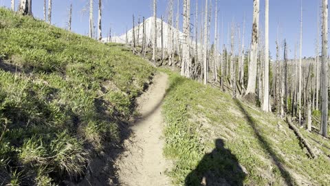Climbing the Alpine Zone of Tilly Jane Trail – Mount Hood – Oregon – 4K