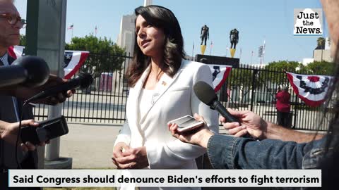 Gabbard warns Biden plan to root out domestic terrors could 'turn our country into a police state'