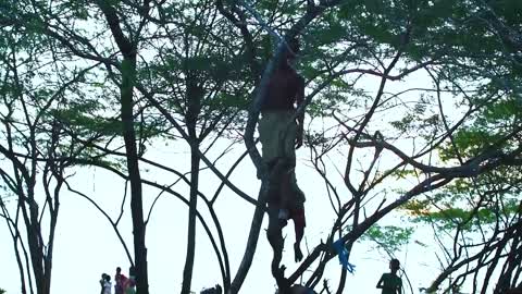 Children Running Playing and Climbing Trees