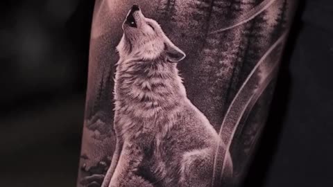 What do you think of this WOLF piece? - Jose Contreras in TEXAS!