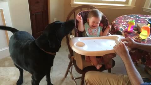 When it is more fun to feed the dog than feed yourself