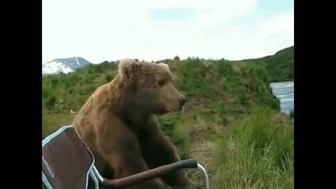 RUSSIAN BEAR HAS COME TO VISIT YOU!
