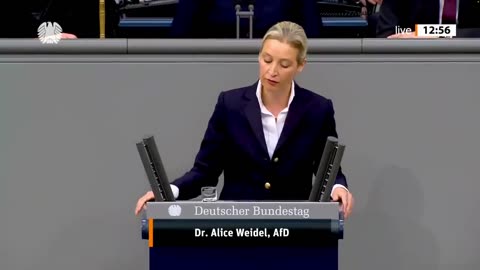 "Diese Regierung hasst Deutschland!" - Alice Weidel - AfD