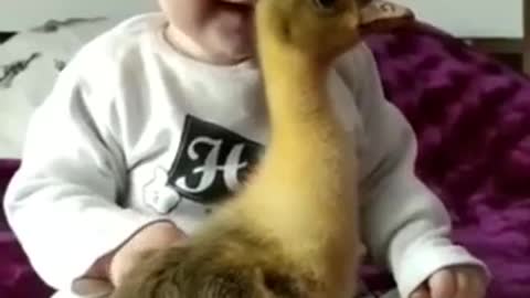 Baby playing with bird