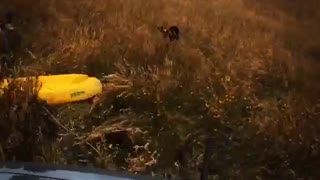 Two guys being pulled behind truck on yellow kayak