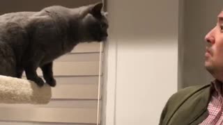 Cat vs. Man: The Battle Is On!