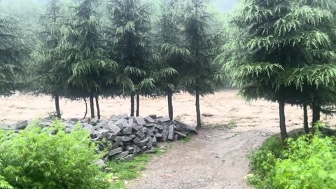 The rainfall havoc in Himachal Pradesh