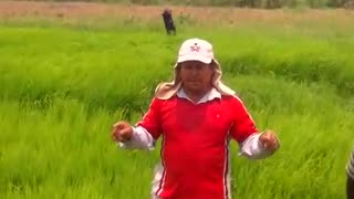 Productores de arroz en Leticia, Bolívar