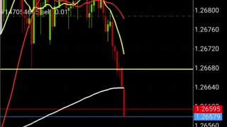 Forex Strategy For Beginners | My Forex Journey 200+PIPS