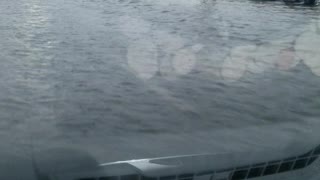 Car lot floods in Florida Storm in December.